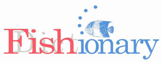 一个关于鱼的博客的话!