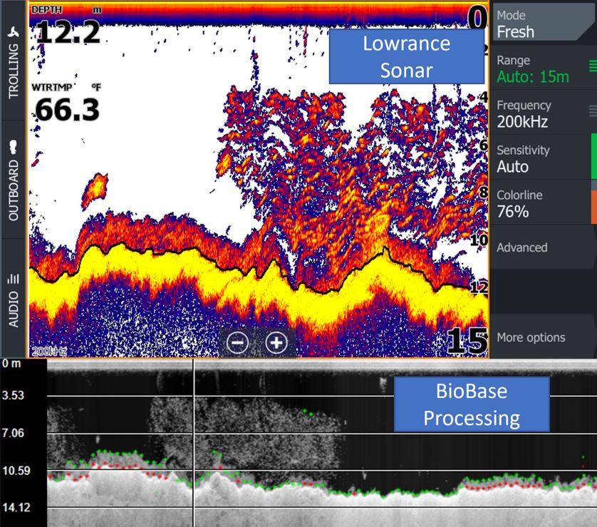 自动化与BioBase海带映射